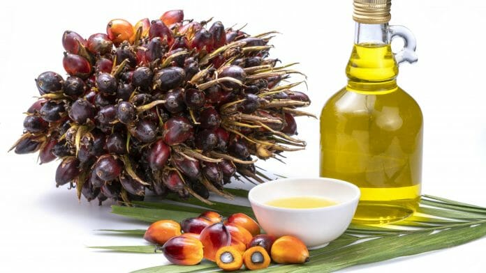 Public Trust in Certified Palm Oil Grows, Survey Shows