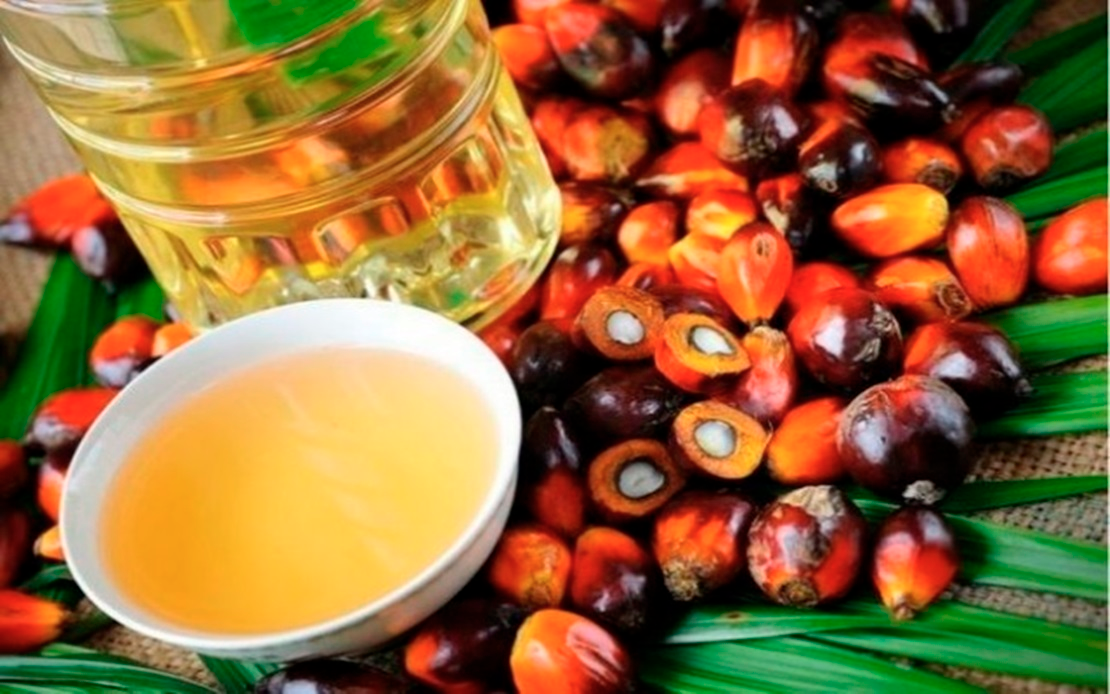 India’s push for self-reliance in edible oils not a threat, says Malaysia