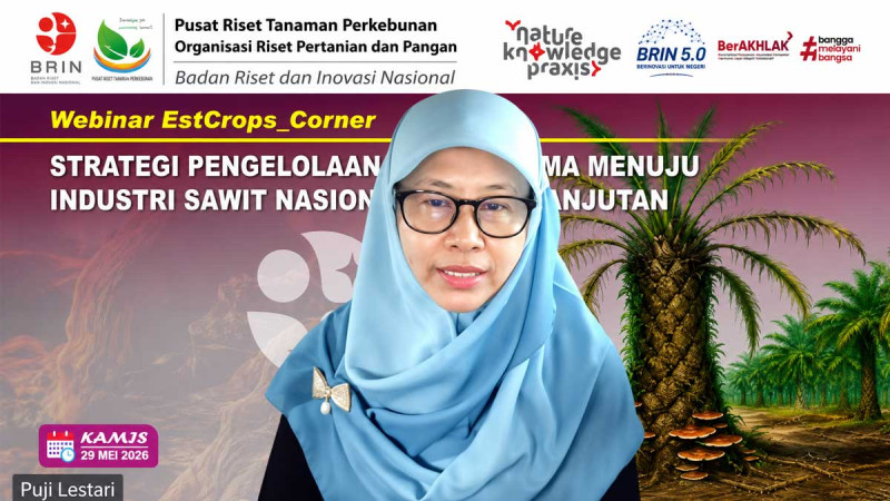 BRIN Pushes Early Detection and Eco-Friendly Solutions to Combat Ganoderma in Oil Palm